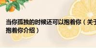 當你孤獨的時候還可以抱著你(關于當你孤獨的時候還可以抱著你介紹)