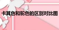 卡其色和駝色的區別對比圖(卡其色和駝色)
