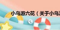 小鳥游六花(關于小鳥游六花簡介)