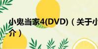 小鬼當家4(DVD)(關于小鬼當家4(DVD)簡介)