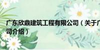 廣東欣鼎建筑工程有限公司(關于廣東欣鼎建筑工程有限公司介紹)