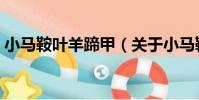 小馬鞍葉羊蹄甲(關于小馬鞍葉羊蹄甲簡介)