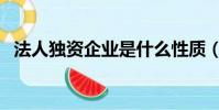 法人獨資企業是什么性質(法人獨資企業)