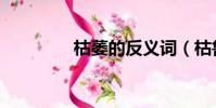 枯萎的反義詞(枯魯杜鵑)