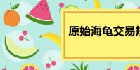 原始海龜交易規則