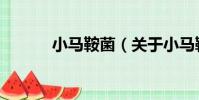 小馬鞍菌(關于小馬鞍菌簡介)