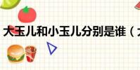 大玉兒和小玉兒分別是誰(大玉兒和小玉兒)