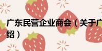 廣東民營企業商會(關于廣東民營企業商會介紹)