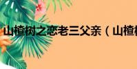 山楂樹之戀老三父親(山楂樹之戀老三原型)