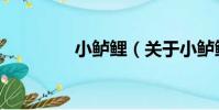 小鱸鯉(關于小鱸鯉簡介)