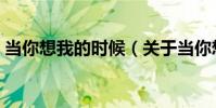 當你想我的時候(關于當你想我的時候介紹)