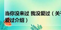當你沒來過 我沒愛過(關于當你沒來過 我沒愛過介紹)