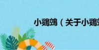 小鵎鵼(關于小鵎鵼簡介)