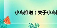 小鳥推送(關于小鳥推送簡介)