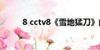8 cctv8《雪地猛刀》的定檔時間