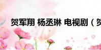 賀軍翔 楊丞琳 電視劇(賀軍翔 楊丞琳)