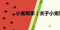 小鬼冤家(關于小鬼冤家簡介)