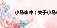 小馬家沖(關于小馬家沖簡介)