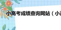 小高考成績查詢網站(小高考成績查詢)