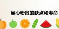 通心粉鼠的缺點和壽命(通心粉鼠)