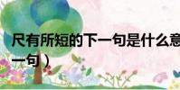 尺有所短的下一句是什么意思(尺有所短的下一句)