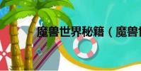 魔獸世界秘籍(魔獸世界秘籍)