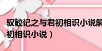馭鮫記之與君初相識小說解說(馭鮫記之與君初相識小說)