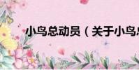 小鳥總動員(關于小鳥總動員簡介)