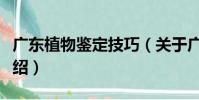 廣東植物鑒定技巧(關于廣東植物鑒定技巧介紹)