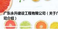 廣東永升建設工程有限公司(關于廣東永升建設工程有限公司介紹)