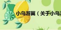 小鳥游翼(關于小鳥游翼簡介)