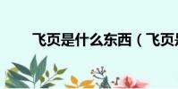 飛頁是什么東西(飛頁是什么意思)