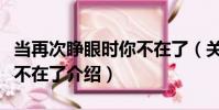 當再次睜眼時你不在了(關于當再次睜眼時你不在了介紹)
