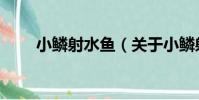 小鱗射水魚(關于小鱗射水魚簡介)