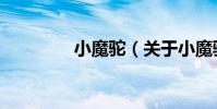 小魔駝(關于小魔駝簡介)