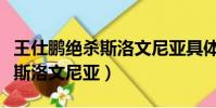 王仕鵬絕殺斯洛文尼亞具體時間(王仕鵬絕殺斯洛文尼亞)