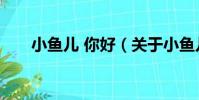 小魚兒 你好(關于小魚兒 你好簡介)