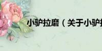 小驢拉磨(關于小驢拉磨簡介)