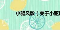 小驅風散(關于小驅風散簡介)