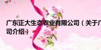 廣東正大生態農業有限公司(關于廣東正大生態農業有限公司介紹)