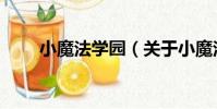 小魔法學園(關于小魔法學園簡介)