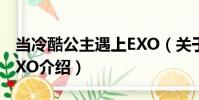 當冷酷公主遇上EXO(關于當冷酷公主遇上EXO介紹)