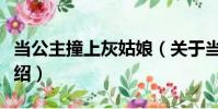 當公主撞上灰姑娘(關于當公主撞上灰姑娘介紹)