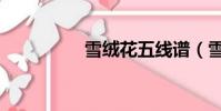 雪絨花五線譜(雪絨絨)