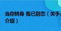 當你轉身 我已別戀(關于當你轉身 我已別戀介紹)
