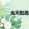 當天陽酒店（關于當天陽酒店介紹）