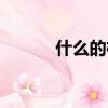什么的枝條填空（什么的枝條）