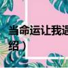 當命運讓我遇到你（關于當命運讓我遇到你介紹）