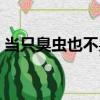 當只臭蟲也不易（關于當只臭蟲也不易介紹）