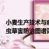 小麥生產技術與病蟲草害防治圖譜（關于小麥生產技術與病蟲草害防治圖譜簡介）